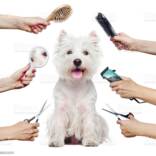 istockphoto-1421577226-1024x1024-1.jpg